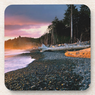 USA, Washington State, Olympic NP. Waves lap the Coaster