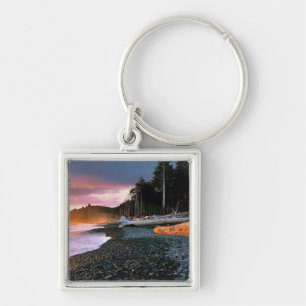 USA, Washington State, Olympic NP. Waves lap the Key Ring