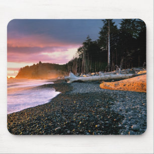 USA, Washington State, Olympic NP. Waves lap the Mouse Pad