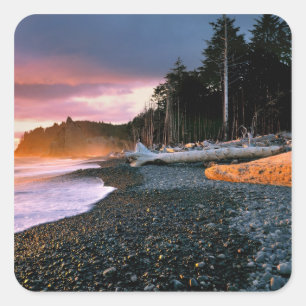 USA, Washington State, Olympic NP. Waves lap the Square Sticker