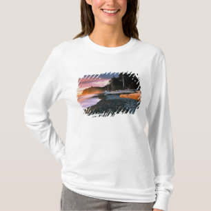 USA, Washington State, Olympic NP. Waves lap the T-Shirt