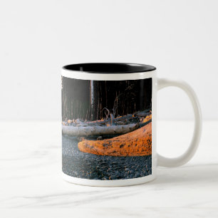 USA, Washington State, Olympic NP. Waves lap the Two-Tone Coffee Mug