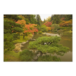 USA, Washington State, Seattle. Japanese Photo Print