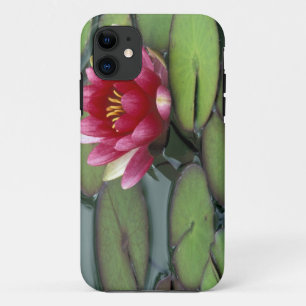 USA, Washington State, Seattle. Water lily and iPhone 11 Case