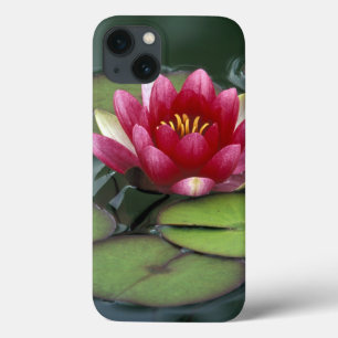 USA, Washington State, Seattle. Water lily and iPhone 13 Case