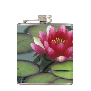 USA, Washington State, Seattle. Water lily and Hip Flask