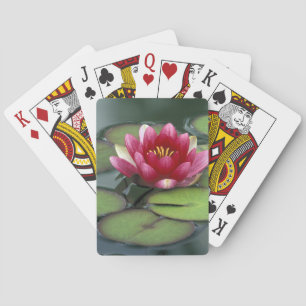 USA, Washington State, Seattle. Water lily and Playing Cards