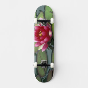 USA, Washington State, Seattle. Water lily and Skateboard