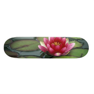USA, Washington State, Seattle. Water lily and Skateboard