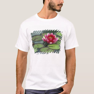 USA, Washington State, Seattle. Water lily and T-Shirt