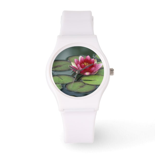 USA, Washington State, Seattle. Water lily and Watch (Front)