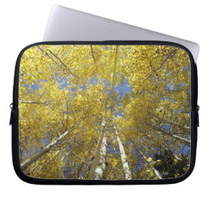 USA, Washington, Stevens Pass Fall-coloured aspen Laptop Sleeve