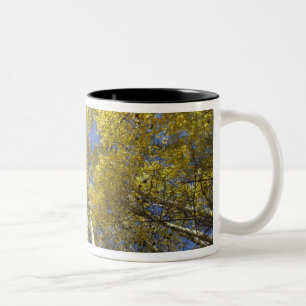 USA, Washington, Stevens Pass Fall-coloured aspen Two-Tone Coffee Mug