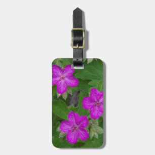 USA, Washington, Turnbull National Wildlife Luggage Tag