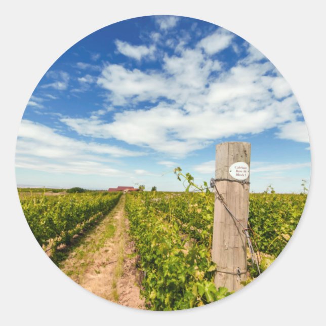 USA, Washington, Walla Walla. Cabernet Sauvignon Classic Round Sticker (Front)