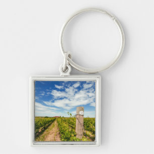 USA, Washington, Walla Walla. Cabernet Sauvignon Key Ring
