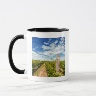 USA, Washington, Walla Walla. Cabernet Sauvignon Mug