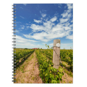 USA, Washington, Walla Walla. Cabernet Sauvignon Notebook