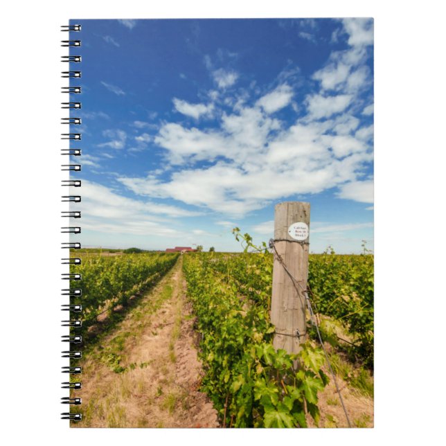 USA, Washington, Walla Walla. Cabernet Sauvignon Notebook (Front)