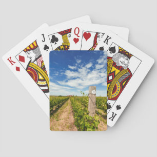 USA, Washington, Walla Walla. Cabernet Sauvignon Playing Cards
