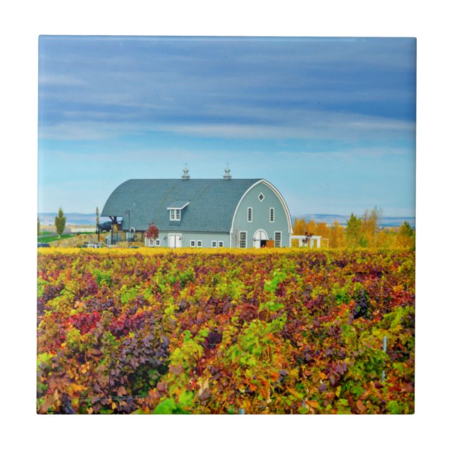USA, Washington, Walla Walla. Garrison Creek Ceramic Tile (Front)