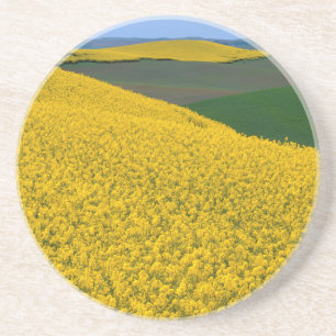 USA, Washington, Whitman County, Palouse, Canola Coaster