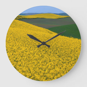 USA, Washington, Whitman County, Palouse, Canola Large Clock