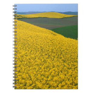 USA, Washington, Whitman County, Palouse, Canola Notebook