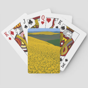 USA, Washington, Whitman County, Palouse, Canola Playing Cards