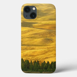 USA, Washington, Whitman County, Palouse, Wheat iPhone 13 Case