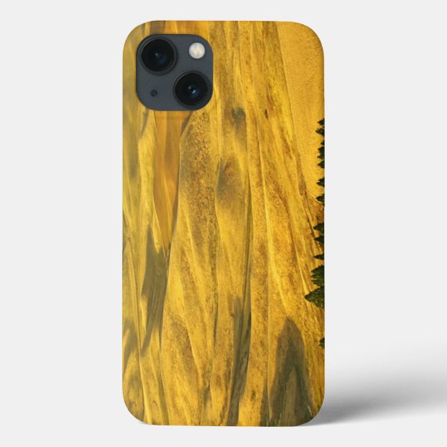 USA, Washington, Whitman County, Palouse, Wheat Case-Mate iPhone Case (Back)