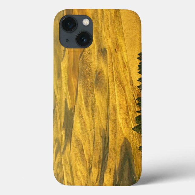 USA, Washington, Whitman County, Palouse, Wheat Case-Mate iPhone Case (Back)