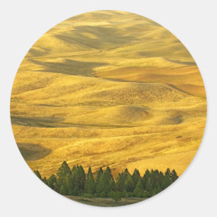 USA, Washington, Whitman County, Palouse, Wheat Classic Round Sticker