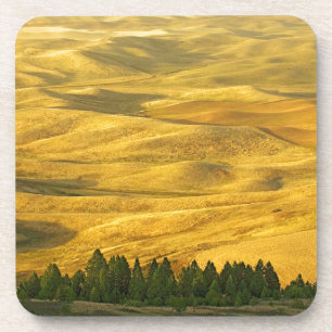USA, Washington, Whitman County, Palouse, Wheat Coaster