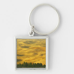 USA, Washington, Whitman County, Palouse, Wheat Key Ring