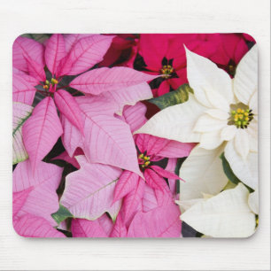 USA, Washington, Woodinville, Molbak's Nursery, 2 Mouse Pad