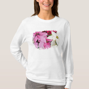USA, Washington, Woodinville, Molbak's Nursery, 2 T-Shirt