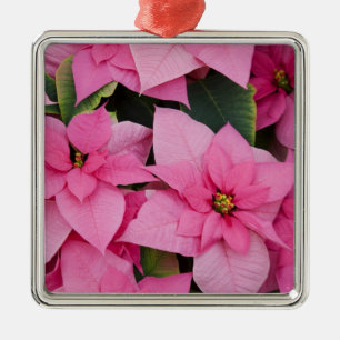 USA, Washington, Woodinville, Molbak's Nursery, 3 Metal Ornament