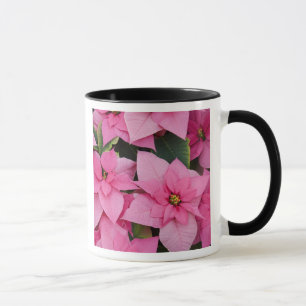 USA, Washington, Woodinville, Molbak's Nursery, 3 Mug