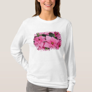 USA, Washington, Woodinville, Molbak's Nursery, 3 T-Shirt