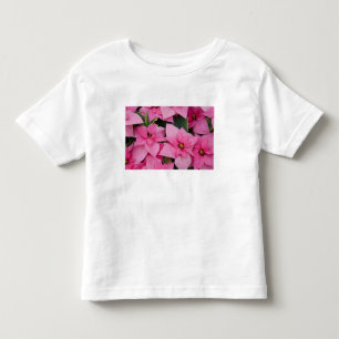USA, Washington, Woodinville, Molbak's Nursery, 3 Toddler T-Shirt