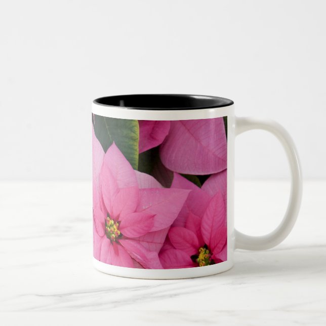 USA, Washington, Woodinville, Molbak's Nursery, 3 Two-Tone Coffee Mug (Right)