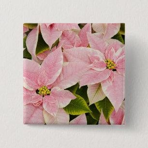 USA, Washington, Woodinville, Molbak's Nursery, 4 15 Cm Square Badge
