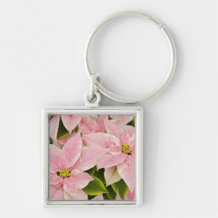 USA, Washington, Woodinville, Molbak's Nursery, 4 Key Ring