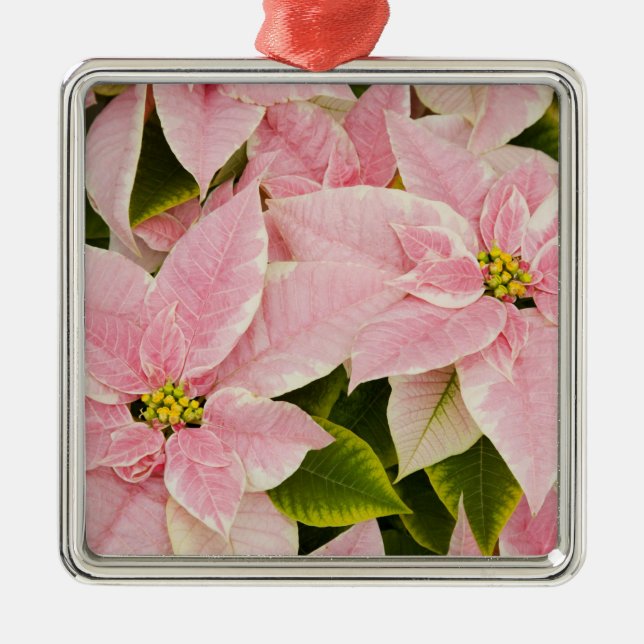 USA, Washington, Woodinville, Molbak's Nursery, 4 Metal Tree Decoration (Front)