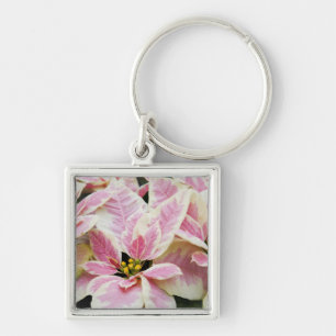 USA, Washington, Woodinville, Molbak's Nursery, Key Ring