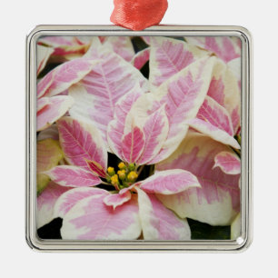 USA, Washington, Woodinville, Molbak's Nursery, Metal Ornament