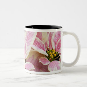 USA, Washington, Woodinville, Molbak's Nursery, Two-Tone Coffee Mug
