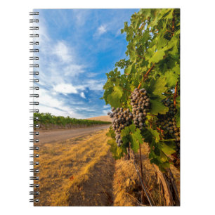 USA, Washington, Yakima Valley. Merlot Grapes Notebook