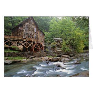 USA, West Virginia, Babcock SP. Rustic Glade
